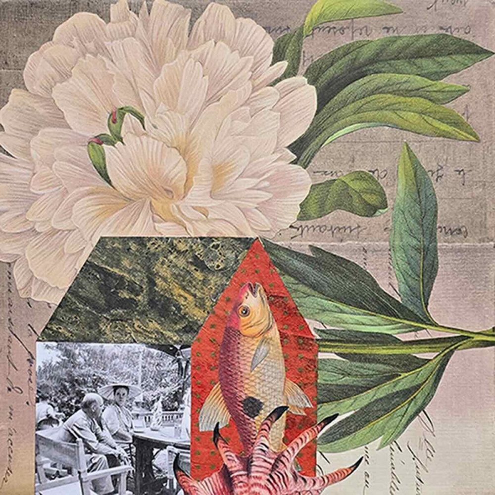 Paeonia de Milo 140 dpi Artfinder