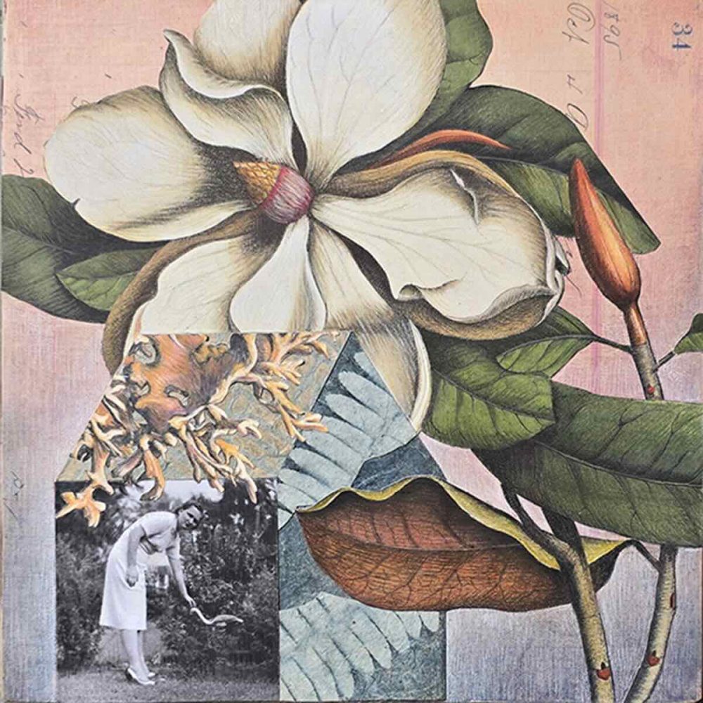 magnolia floating flamingo at 140 dpi Artfinder